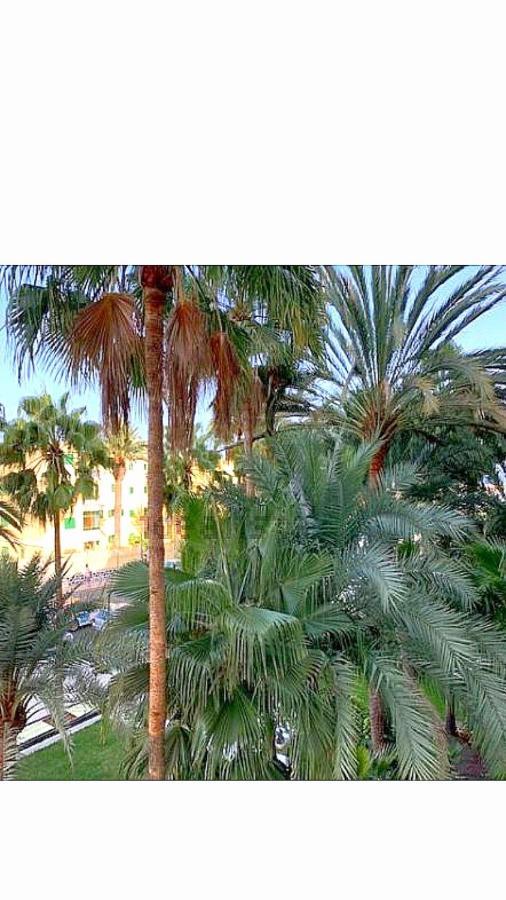 Maspalomas Del Mar San Bartolomé Εξωτερικό φωτογραφία